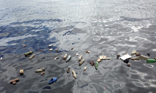 Mikroplastika – tihi ubojica našeg ekosustava