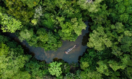 Amazonija – 5 zanimljivosti koje bi svatko trebao znati