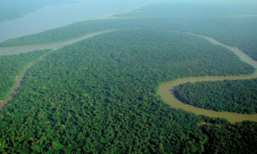 Amazonija i sve što trebate znati o njoj