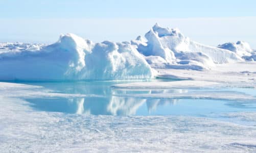 Vrh svijeta: 12 stvari o Arktiku koje sigurno niste znali