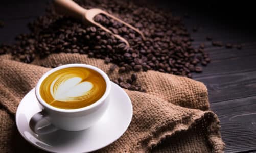 Kava je mnogima omiljena biljka: Evo 5 važnih stvari o njoj!
