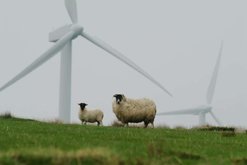 Utjecaj vjetroelektrane na okoliš