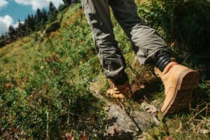 Timberland