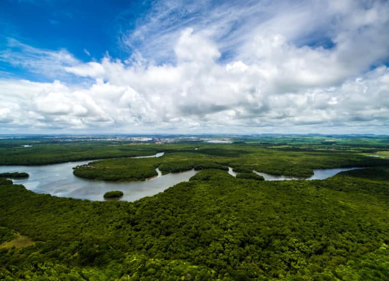 Amazonija - 5 zanimljivosti koje bi svatko trebao znati
