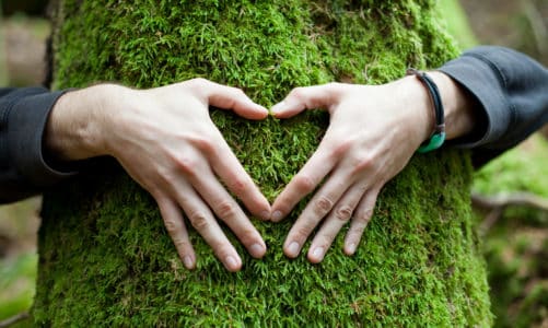 8 načina kako živjeti održivije i pomoći očuvanju okoliša i planete Zemlje