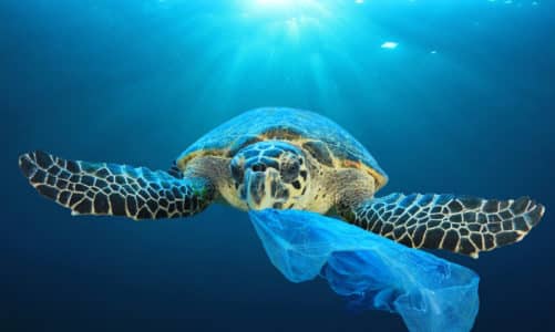 Plastika u kući: 15 ekološki osviještenih savjeta