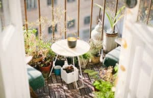 Uzgoj ljekovitog bilja na balkonu