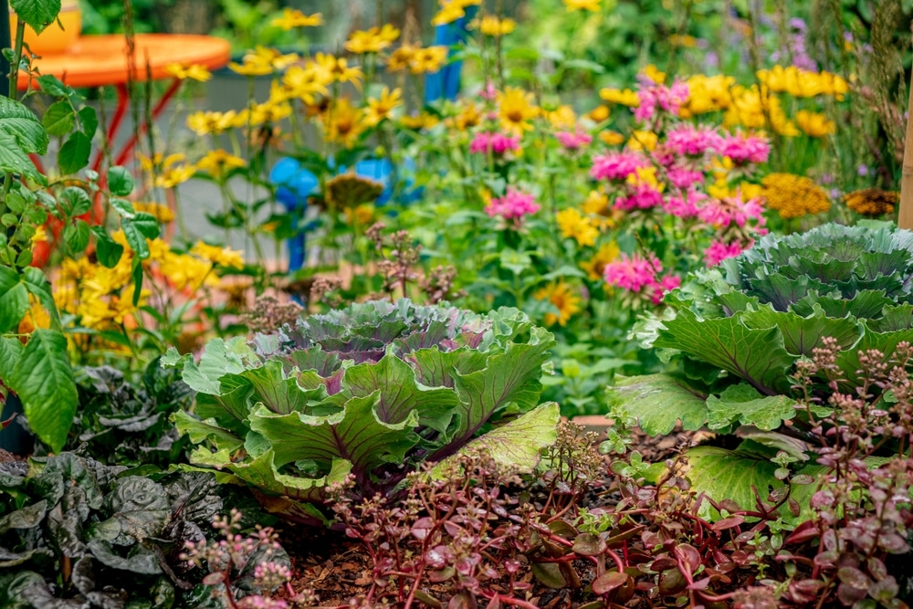 permakultura potiče mješovitu sadnju kao taktiku brige o zdravlju tla