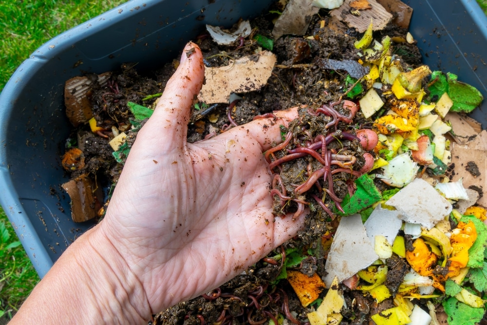 Recikliranje plastike s oznakama koje se ne obrađuju lokalno