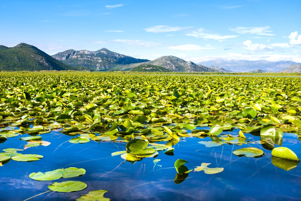 Podrška bioraznolikosti