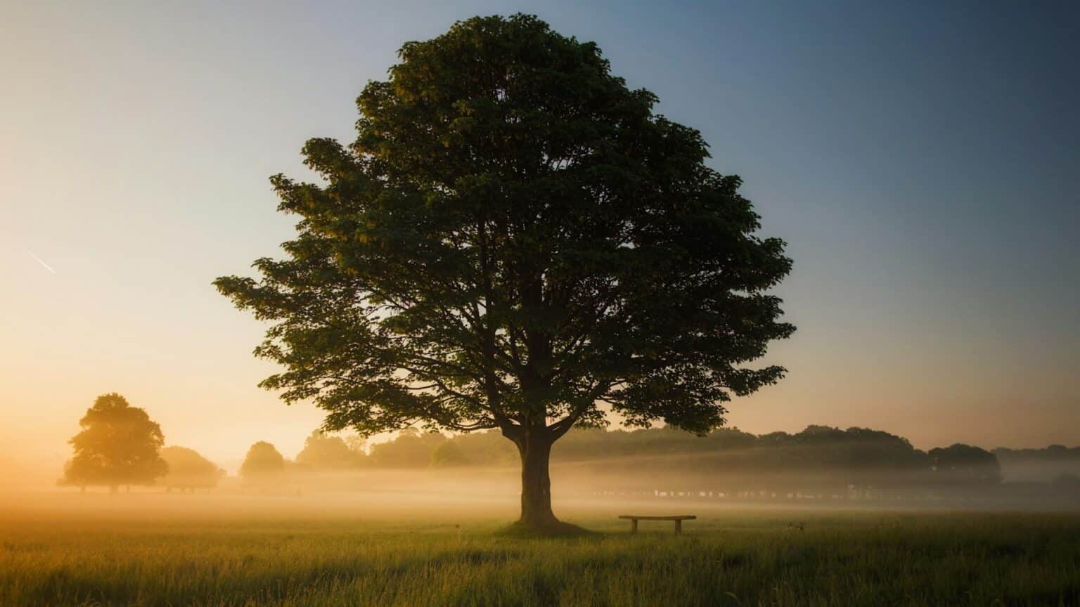 Divlja Svinja Sve to Ste Htjeli Znati Zastita prirode hr