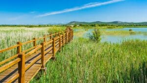 Kako je nastalo Vransko jezero? Donosimo 7 zanimljivosti