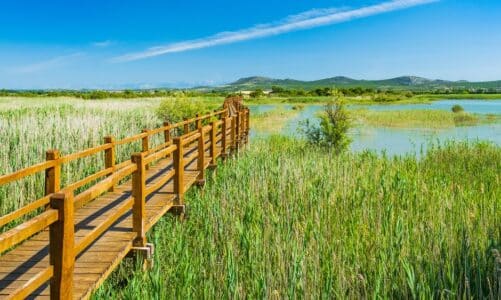 Kako je nastalo Vransko jezero? Donosimo 7 zanimljivosti