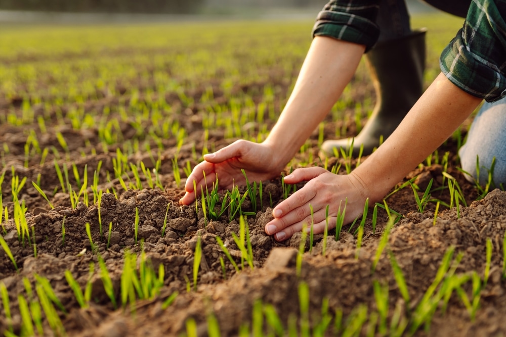 Smanjiti uporabu štetnih kemikalija