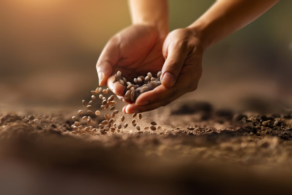 Održava ravnotežu ekosustava