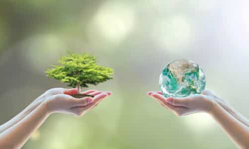 Što je bioraznolikost i zašto je svijet bez nje nezamisliv?