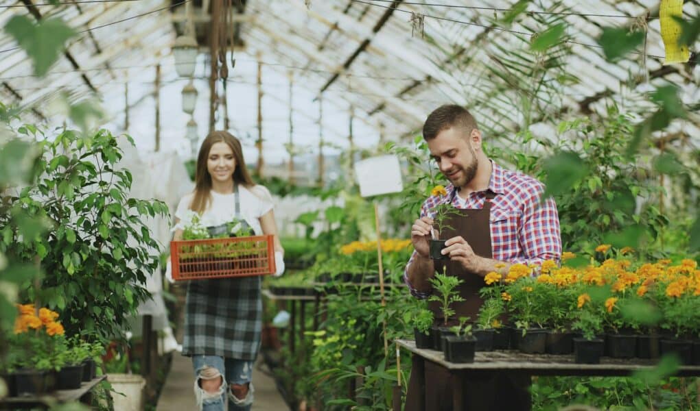 Kako funkcionira inspekcija zaštite okoliša u Hrvatskoj