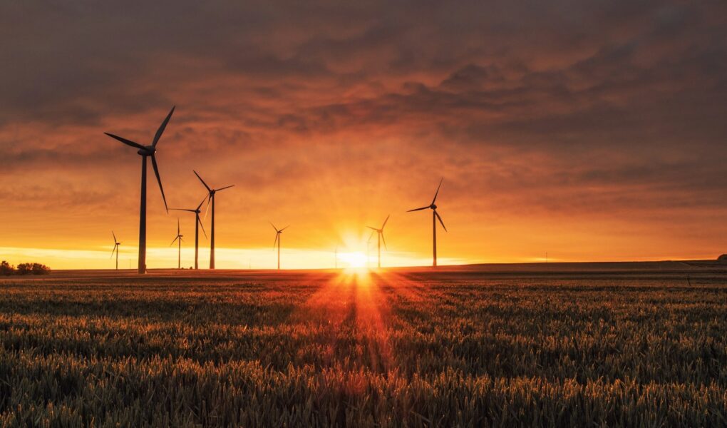 Održivi razvoj u praksi: Kako ga primijeniti u životu