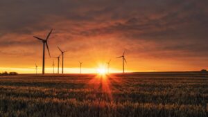 Održivi razvoj u praksi: Kako ga primijeniti u životu