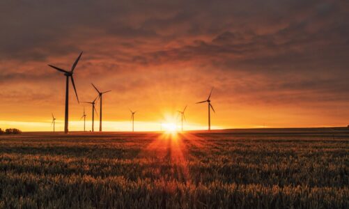 Održivi razvoj u praksi: Kako ga primijeniti u životu