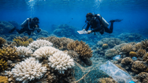 Koraljni grebeni vape za pomoć – hoćemo li čuti?